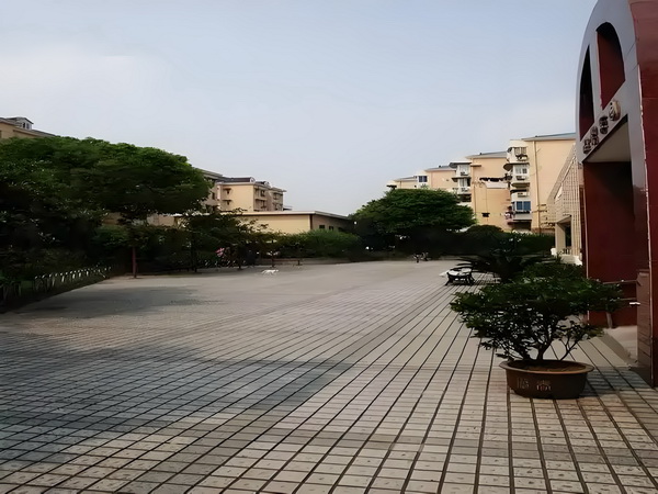 2025暑期档大盘票房连续10天破亿
